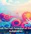 Unlock the Full Potential of Your IT Automation